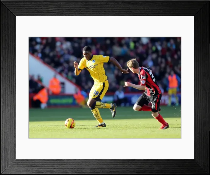 Framed Print : Brighton & Hove Albion vs AFC Bournemouth: 2013-14 Away Game Framed Print : Brighton & Hove Albion vs AFC Bournemouth: 2013-14 Away Game