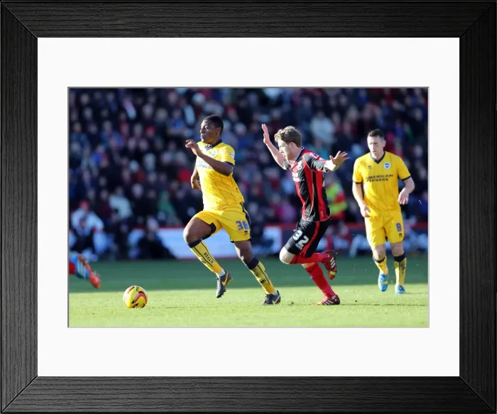 Framed Print : Brighton & Hove Albion vs. AFC Bournemouth: 2013-14 Away Game Framed Print : Brighton & Hove Albion vs. AFC Bournemouth: 2013-14 Away Game