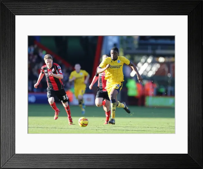 Framed Print : AFC Bournemouth at Brighton & Hove Albion: 2013-14 Season Away Game Framed Print : AFC Bournemouth at Brighton & Hove Albion: 2013-14 Season Away Game