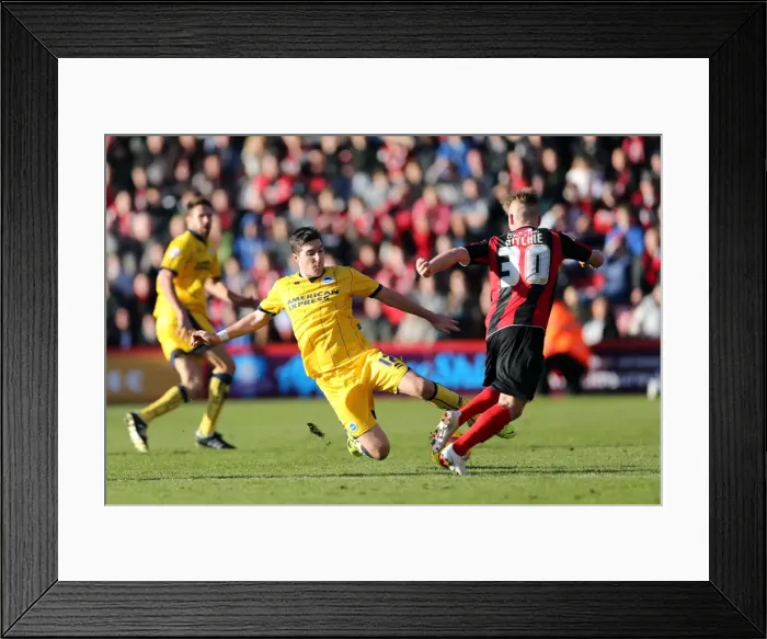 Framed Print : Brighton & Hove Albion vs. AFC Bournemouth: 2013-14 Away Game Framed Print : Brighton & Hove Albion vs. AFC Bournemouth: 2013-14 Away Game