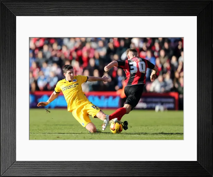 Framed Print : Brighton & Hove Albion vs. AFC Bournemouth (Away) - 30-11-2013: Season 2013-14, AFC Bournemouth Game Framed Print : Brighton & Hove Albion vs. AFC Bournemouth (Away) - 30-11-2013: Season 2013-14, AFC Bournemouth Game
