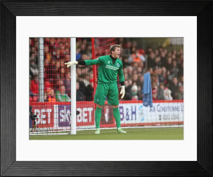 Framed Print : Brighton & Hove Albion vs. AFC Bournemouth: 2013-14 Away Game (November 30) Framed Print : Brighton & Hove Albion vs. AFC Bournemouth: 2013-14 Away Game (November 30)