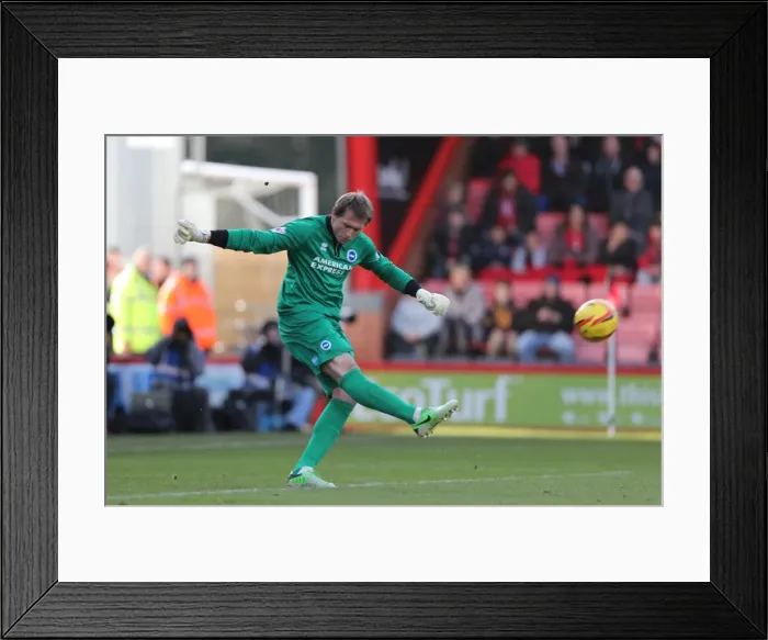 Framed Print : Brighton & Hove Albion vs. AFC Bournemouth (Away) - Season 2013-14: 30-11-2013 Framed Print : Brighton & Hove Albion vs. AFC Bournemouth (Away) - Season 2013-14: 30-11-2013