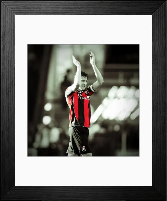 Framed Print : AFC Bournemouth at Brighton & Hove Albion: 2013-14 Season Away Game Framed Print : AFC Bournemouth at Brighton & Hove Albion: 2013-14 Season Away Game