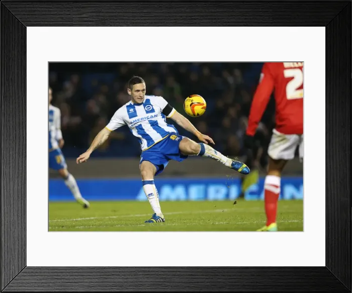Framed Print : Brighton & Hove Albion vs Barnsley: A 3-1 Home Victory (December 3, 2013) Framed Print : Brighton & Hove Albion vs Barnsley: A 3-1 Home Victory (December 3, 2013)