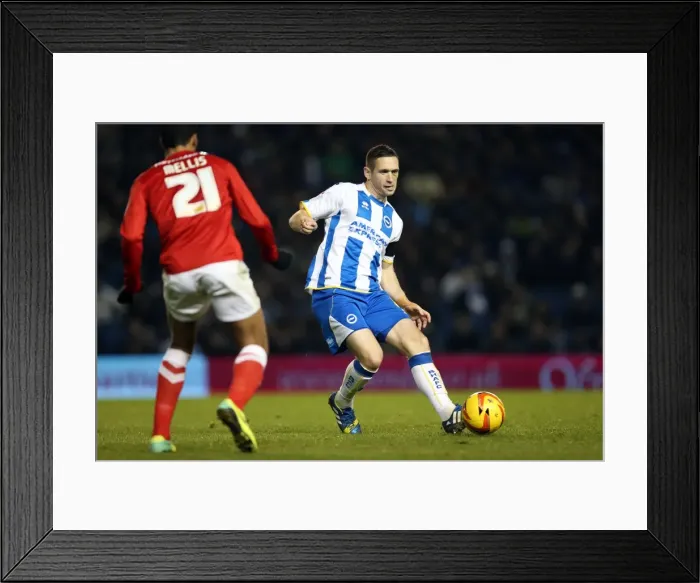 Framed Print : Brighton & Hove Albion vs Barnsley: Home Game (December 3, 2013) Framed Print : Brighton & Hove Albion vs Barnsley: Home Game (December 3, 2013)