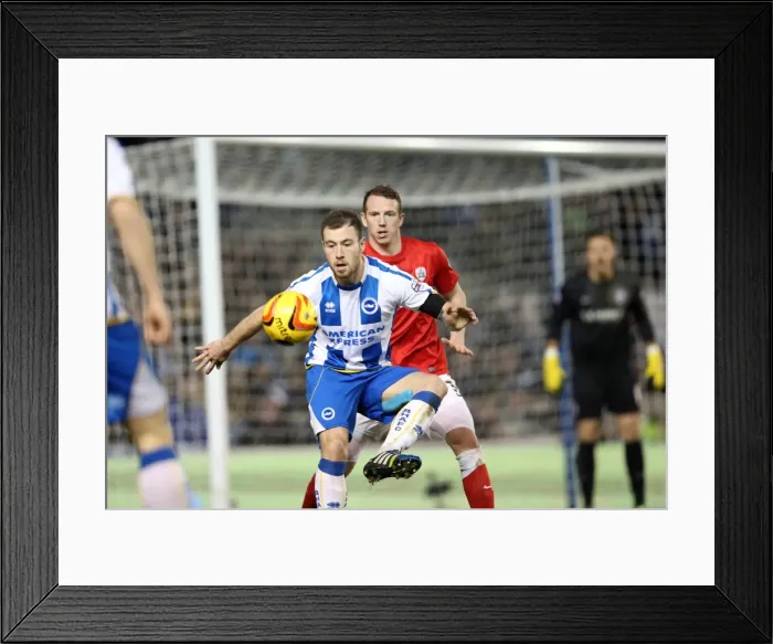 Framed Print : Brighton & Hove Albion vs Barnsley: Dec. 3, 2013 - Home Game, Season 2013-14 Framed Print : Brighton & Hove Albion vs Barnsley: Dec. 3, 2013 - Home Game, Season 2013-14