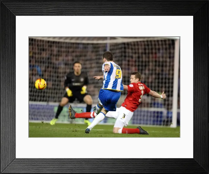 Framed Print : Brighton & Hove Albion vs Barnsley: Home Game - December 3, 2013 Framed Print : Brighton & Hove Albion vs Barnsley: Home Game - December 3, 2013