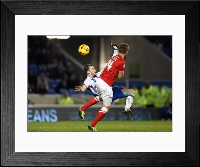 Framed Print : Brighton & Hove Albion vs Barnsley: A 3-1 Home Victory (3-12-2013) Framed Print : Brighton & Hove Albion vs Barnsley: A 3-1 Home Victory (3-12-2013)