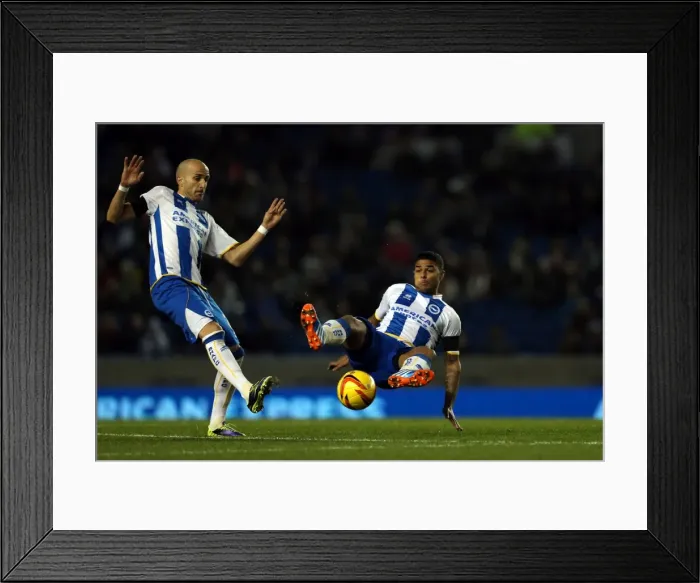 Framed Print : Brighton & Hove Albion vs Barnsley: 3-1 (Home Game, 2013-14 Season - December 3, 2013) Framed Print : Brighton & Hove Albion vs Barnsley: 3-1 (Home Game, 2013-14 Season - December 3, 2013)