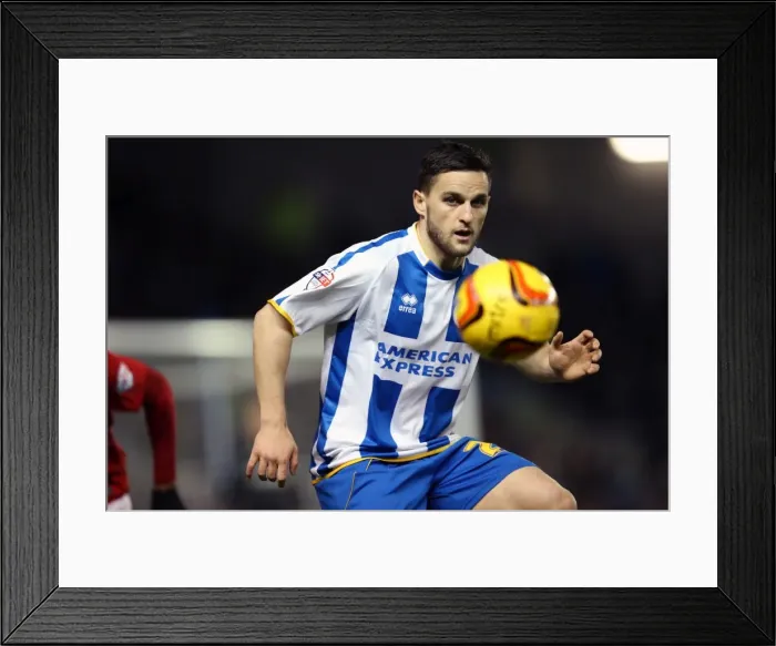 Framed Print : Brighton And Hove Albion Season 2013-14: 2013-14 Home Games: Barnsley - 03-12-2013 Framed Print : Brighton And Hove Albion Season 2013-14: 2013-14 Home Games: Barnsley - 03-12-2013