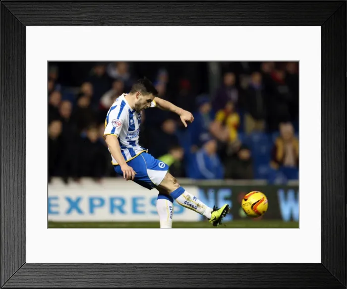 Framed Print : Brighton & Hove Albion vs Barnsley: Home Game - December 3, 2013 Framed Print : Brighton & Hove Albion vs Barnsley: Home Game - December 3, 2013