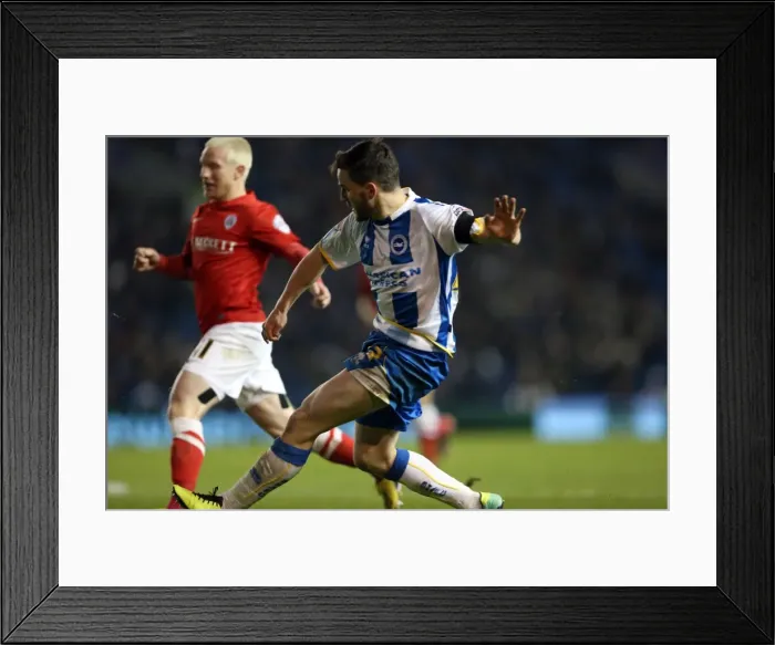 Framed Print : Brighton & Hove Albion vs Barnsley: Home Game - December 3, 2013 Framed Print : Brighton & Hove Albion vs Barnsley: Home Game - December 3, 2013
