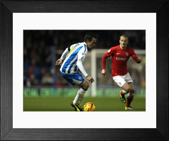 Framed Print : Brighton & Hove Albion vs Barnsley: 3-1 (Home Game, 2013-14 Season - December 3, 2013) Framed Print : Brighton & Hove Albion vs Barnsley: 3-1 (Home Game, 2013-14 Season - December 3, 2013)