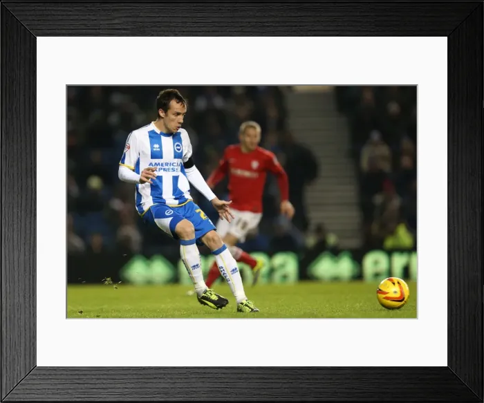 Framed Print : Brighton & Hove Albion vs Barnsley: Home Game - December 3, 2013 Framed Print : Brighton & Hove Albion vs Barnsley: Home Game - December 3, 2013