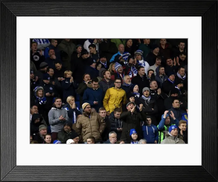 Framed Print : Brighton & Hove Albion vs Barnsley: 3-1 (Home Game, 2013-14 Season - December 3, 2013) Framed Print : Brighton & Hove Albion vs Barnsley: 3-1 (Home Game, 2013-14 Season - December 3, 2013)