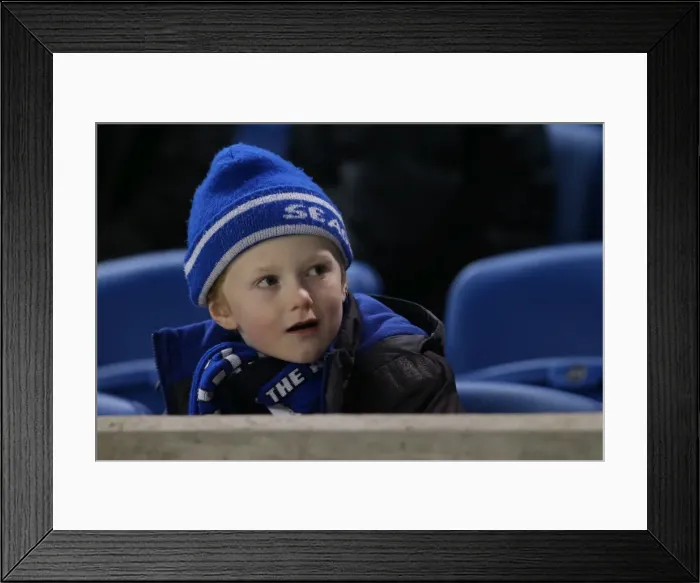 Framed Print : Brighton & Hove Albion vs Barnsley: A 3-1 Home Victory (December 3, 2013) Framed Print : Brighton & Hove Albion vs Barnsley: A 3-1 Home Victory (December 3, 2013)