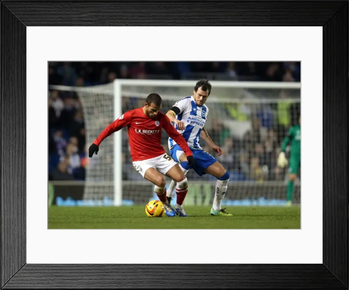 Framed Print : Brighton & Hove Albion vs Barnsley: Home Game - December 3, 2013 Framed Print : Brighton & Hove Albion vs Barnsley: Home Game - December 3, 2013