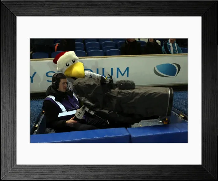 Framed Print : Brighton & Hove Albion vs Barnsley: Home Game - December 3, 2013 Framed Print : Brighton & Hove Albion vs Barnsley: Home Game - December 3, 2013