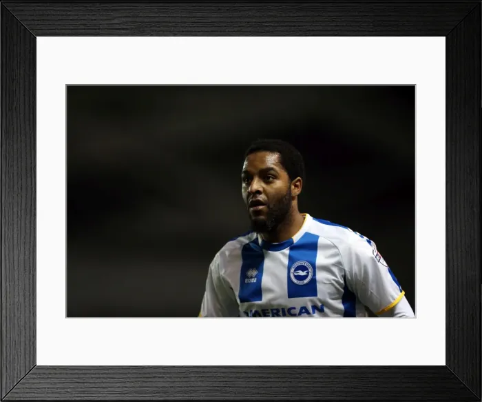 Framed Print : Brighton & Hove Albion: 3-1 Home Victory Against Barnsley (December 3, 2013 - 2013-14 Season)