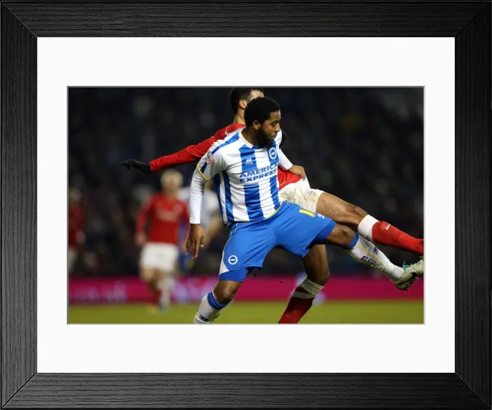 Framed Print : Brighton And Hove Albion Season 2013-14: 2013-14 Home Games: Barnsley - 03-12-2013 Framed Print : Brighton And Hove Albion Season 2013-14: 2013-14 Home Games: Barnsley - 03-12-2013