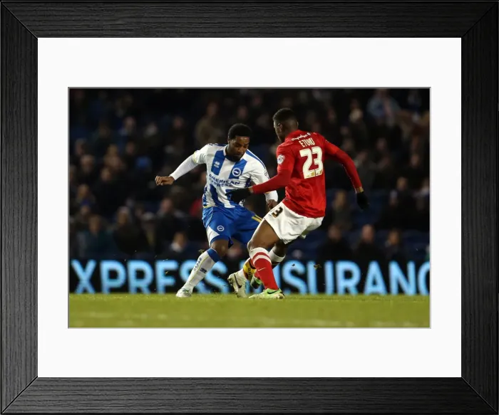 Framed Print : Brighton & Hove Albion vs Barnsley: Home Game - December 3, 2013 Framed Print : Brighton & Hove Albion vs Barnsley: Home Game - December 3, 2013