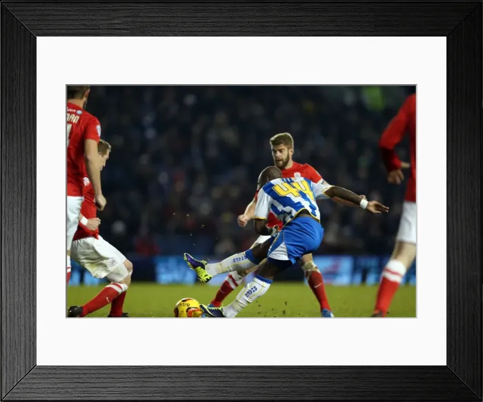 Framed Print : Brighton & Hove Albion vs Barnsley: Home Game - December 3, 2013 Framed Print : Brighton & Hove Albion vs Barnsley: Home Game - December 3, 2013