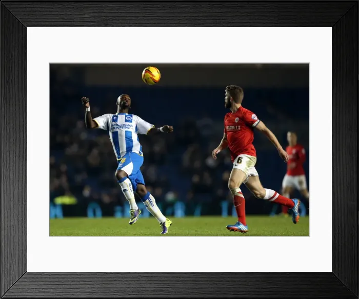 Framed Print : Brighton & Hove Albion vs Barnsley: Home Game - December 3, 2013 Framed Print : Brighton & Hove Albion vs Barnsley: Home Game - December 3, 2013