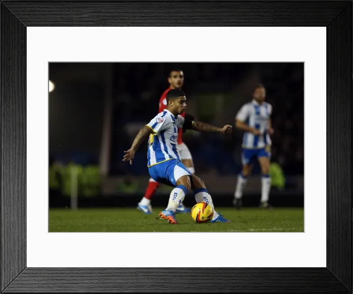 Framed Print : Brighton & Hove Albion vs Barnsley (03-12-2013) - A Home Game from the 2013-14 Season Framed Print : Brighton & Hove Albion vs Barnsley (03-12-2013) - A Home Game from the 2013-14 Season