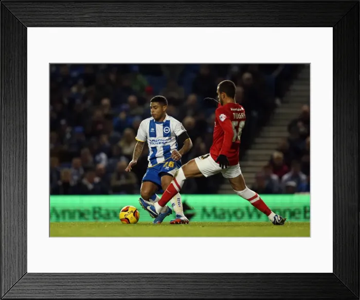 Framed Print : Brighton & Hove Albion vs Barnsley: Home Game, 2013-14 Season (03-12-2013) Framed Print : Brighton & Hove Albion vs Barnsley: Home Game, 2013-14 Season (03-12-2013)