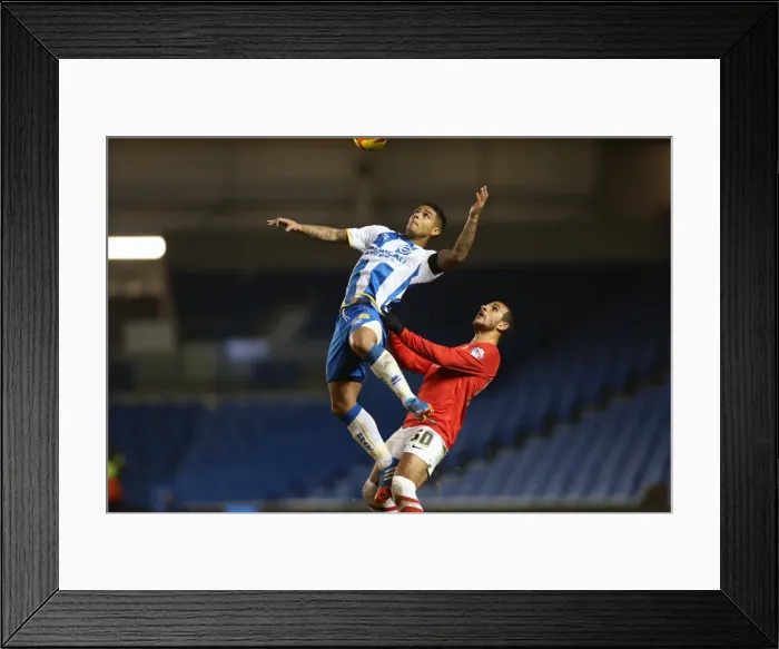 Framed Print : Brighton & Hove Albion: 3-1 Home Victory over Barnsley (Dec 2013, Season 2013-14) Framed Print : Brighton & Hove Albion: 3-1 Home Victory over Barnsley (Dec 2013, Season 2013-14)