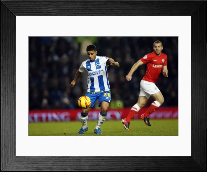 Framed Print : Brighton & Hove Albion vs Barnsley: 3-1 Dec 2013 (Home Game, 2013-14 Season) Framed Print : Brighton & Hove Albion vs Barnsley: 3-1 Dec 2013 (Home Game, 2013-14 Season)