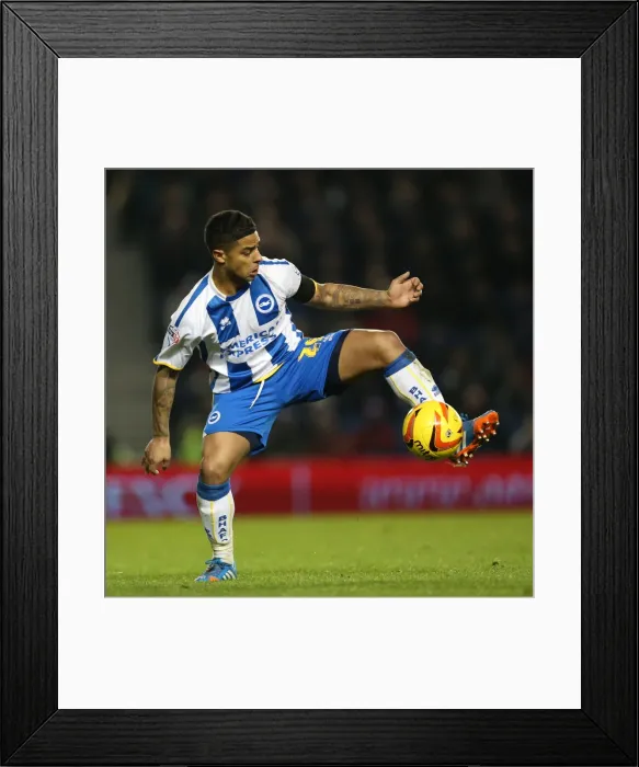 Framed Print : Brighton & Hove Albion vs Barnsley: Home Game - December 3, 2013 Framed Print : Brighton & Hove Albion vs Barnsley: Home Game - December 3, 2013