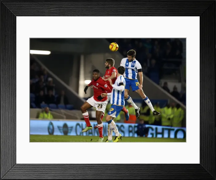 Framed Print : Brighton & Hove Albion vs Barnsley: 3-1 Dec 2013 (Home Game, 2013-14 Season) Framed Print : Brighton & Hove Albion vs Barnsley: 3-1 Dec 2013 (Home Game, 2013-14 Season)