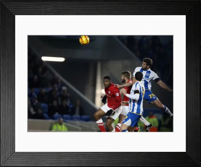 Framed Print : Brighton & Hove Albion vs Barnsley: 3-1 (Home Game, 2013-14 Season - December 3, 2013) Framed Print : Brighton & Hove Albion vs Barnsley: 3-1 (Home Game, 2013-14 Season - December 3, 2013)