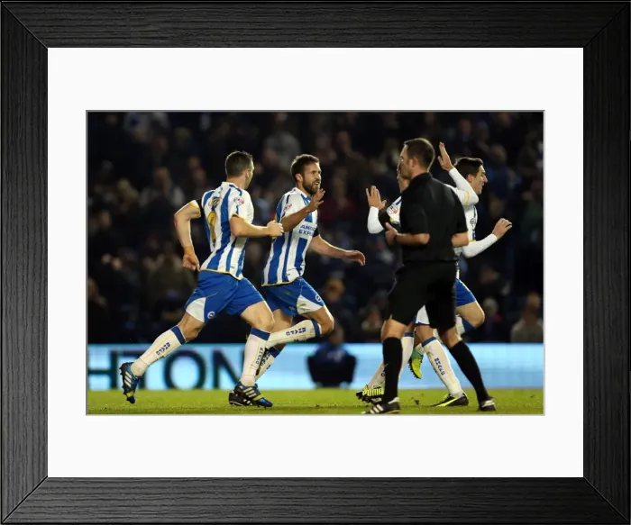 Framed Print : Brighton & Hove Albion vs Barnsley: A 3-1 Home Victory (December 3, 2013) Framed Print : Brighton & Hove Albion vs Barnsley: A 3-1 Home Victory (December 3, 2013)