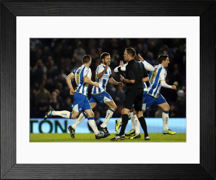 Framed Print : Brighton & Hove Albion vs Barnsley: Home Game - December 3, 2013 Framed Print : Brighton & Hove Albion vs Barnsley: Home Game - December 3, 2013