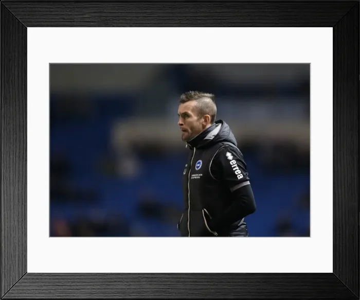 Framed Print : Brighton & Hove Albion vs Barnsley: 3-1 Home Victory - 2013-14 Season Framed Print : Brighton & Hove Albion vs Barnsley: 3-1 Home Victory - 2013-14 Season