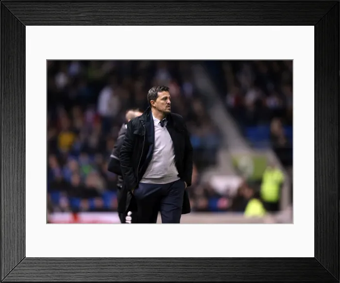 Framed Print : Brighton & Hove Albion vs Barnsley: A Home Victory (December 3, 2013) Framed Print : Brighton & Hove Albion vs Barnsley: A Home Victory (December 3, 2013)