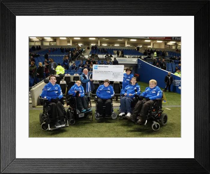 Framed Print : Brighton & Hove Albion vs Barnsley: A 3-1 Home Victory (December 3, 2013)