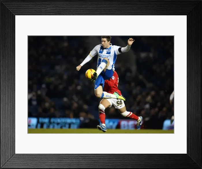 Framed Print : Brighton & Hove Albion vs Barnsley: Home Game (December 3, 2013) Framed Print : Brighton & Hove Albion vs Barnsley: Home Game (December 3, 2013)