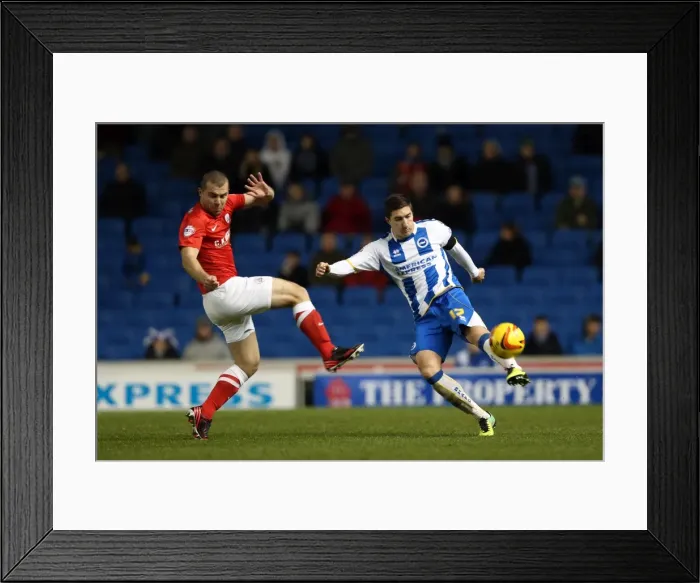 Framed Print : Brighton & Hove Albion vs Barnsley: 3-1 (Dec 2013) - Home Game, 2013-14 Season Framed Print : Brighton & Hove Albion vs Barnsley: 3-1 (Dec 2013) - Home Game, 2013-14 Season