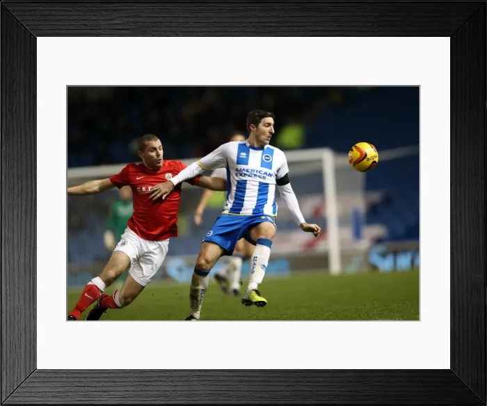 Framed Print : Brighton & Hove Albion vs Barnsley: Home Game (December 3, 2013) Framed Print : Brighton & Hove Albion vs Barnsley: Home Game (December 3, 2013)