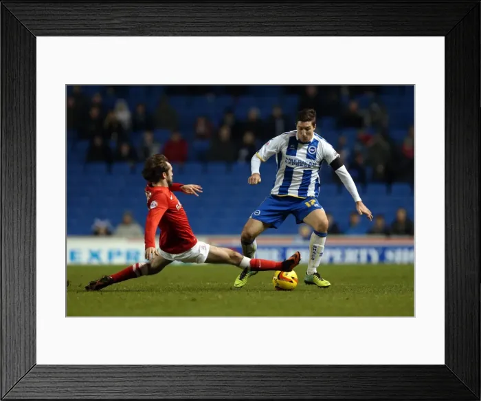 Framed Print : Brighton & Hove Albion vs Barnsley: Home Game - December 3, 2013 Framed Print : Brighton & Hove Albion vs Barnsley: Home Game - December 3, 2013
