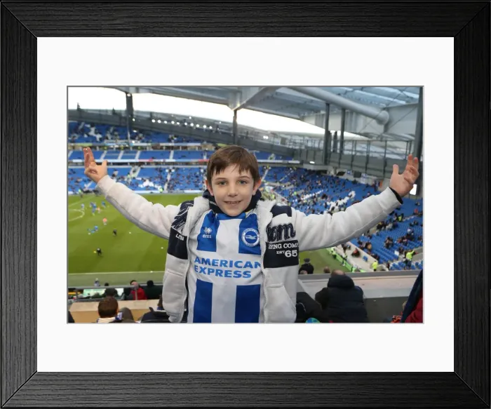 Framed Print : Brighton & Hove Albion vs. Leicester City (2013-14 Season): A Home Game - 7 December 2013 Framed Print : Brighton & Hove Albion vs. Leicester City (2013-14 Season): A Home Game - 7 December 2013
