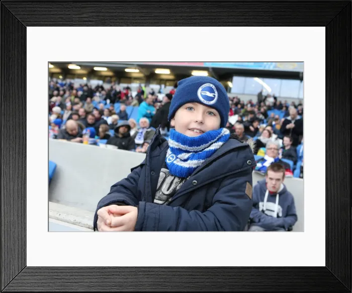 Framed Print : Brighton & Hove Albion vs. Leicester City: Home Game - December 7, 2013 (Season 2013-14) Framed Print : Brighton & Hove Albion vs. Leicester City: Home Game - December 7, 2013 (Season 2013-14)