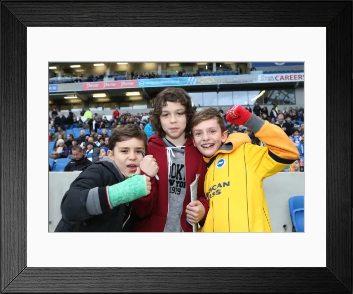 Framed Print : Brighton & Hove Albion vs. Leicester City (07-12-2013): A Home Game from the 2013-14 Season Framed Print : Brighton & Hove Albion vs. Leicester City (07-12-2013): A Home Game from the 2013-14 Season