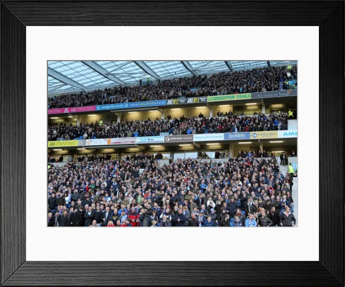 Framed Print : Brighton & Hove Albion vs. Leicester City: Home Battle, 2013-14 Season (7-12-2013) Framed Print : Brighton & Hove Albion vs. Leicester City: Home Battle, 2013-14 Season (7-12-2013)