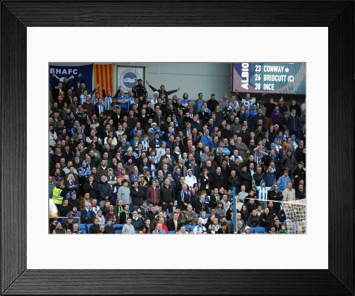 Framed Print : Brighton & Hove Albion vs. Leicester City (07-12-2013): A Home Game from the 2013-14 Season Framed Print : Brighton & Hove Albion vs. Leicester City (07-12-2013): A Home Game from the 2013-14 Season