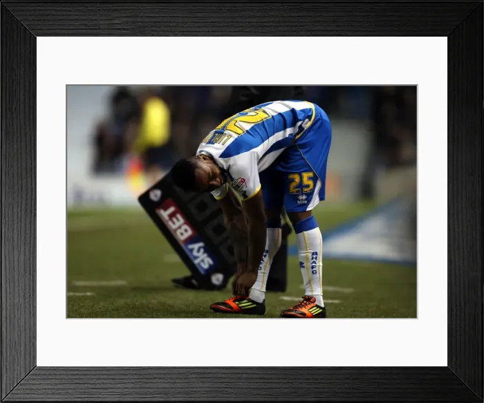 Framed Print : Brighton & Hove Albion vs. Leicester City: Home Game - December 7, 2013 (Season 2013-14) Framed Print : Brighton & Hove Albion vs. Leicester City: Home Game - December 7, 2013 (Season 2013-14)